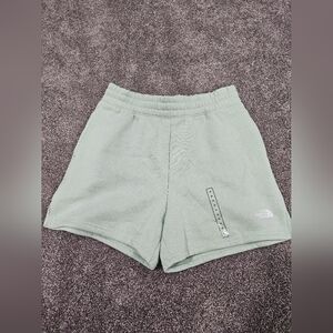 The North Face Evolution Shorts